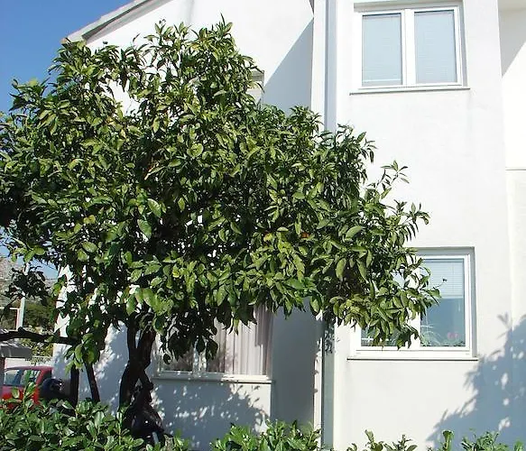 Apartman Tomy *