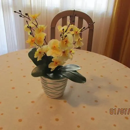 Tomy شقة تروغير